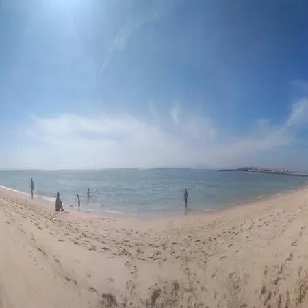 Bird House * ロウリニャン