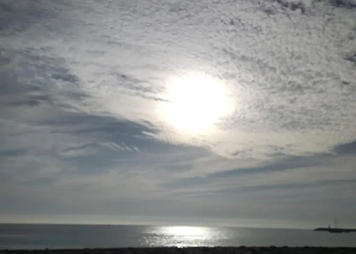 Bird House Holiday home