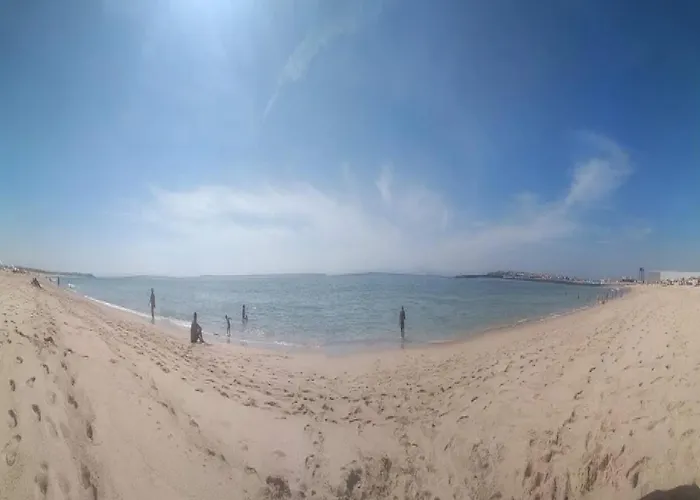 Bird House * Lourinha (Lisbon)