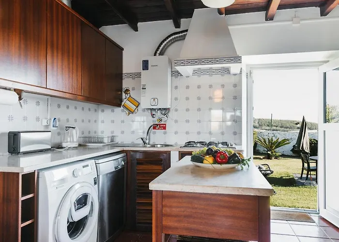 Bird House Lourinha (Lisbon)