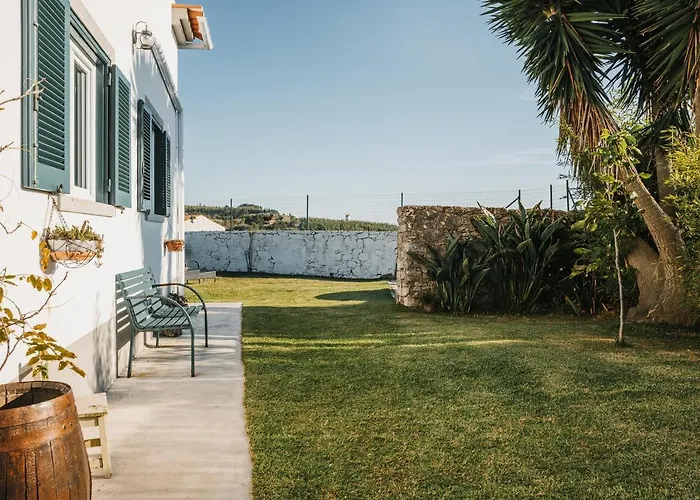 Bird House Lourinha (Lisbon)