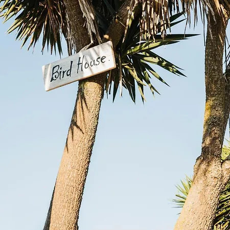 Bird House Casa vacanze *