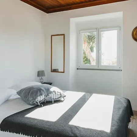 Casa vacanze Bird House *