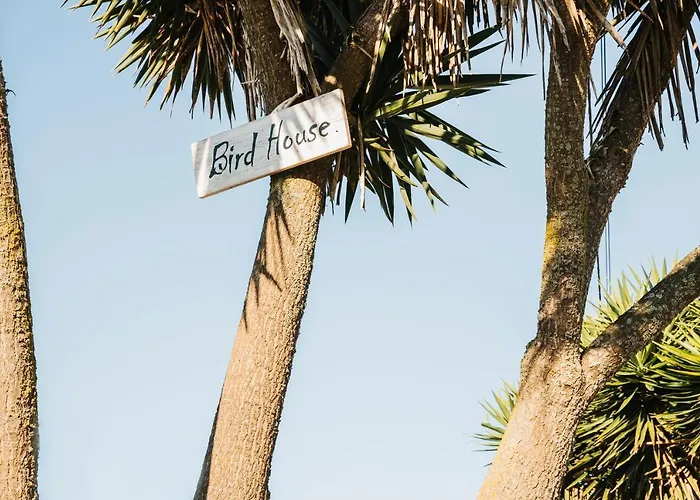 Bird House Casa vacanze *